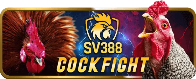 Hướng dẫn người mới hiểu cơ chế 888 Slot Free Bet